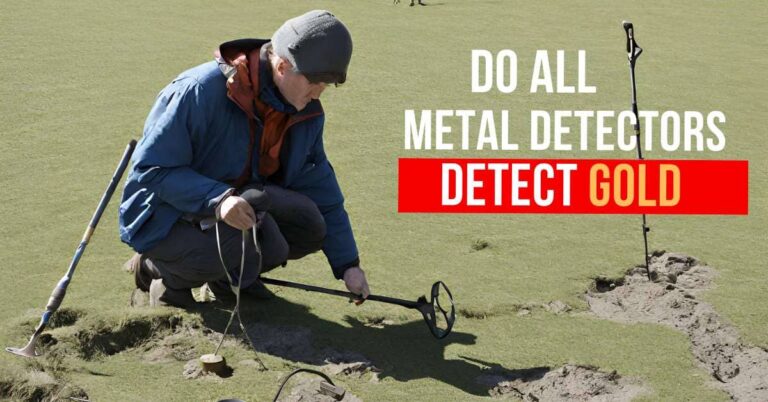 Metal Detector Can Detect Gold